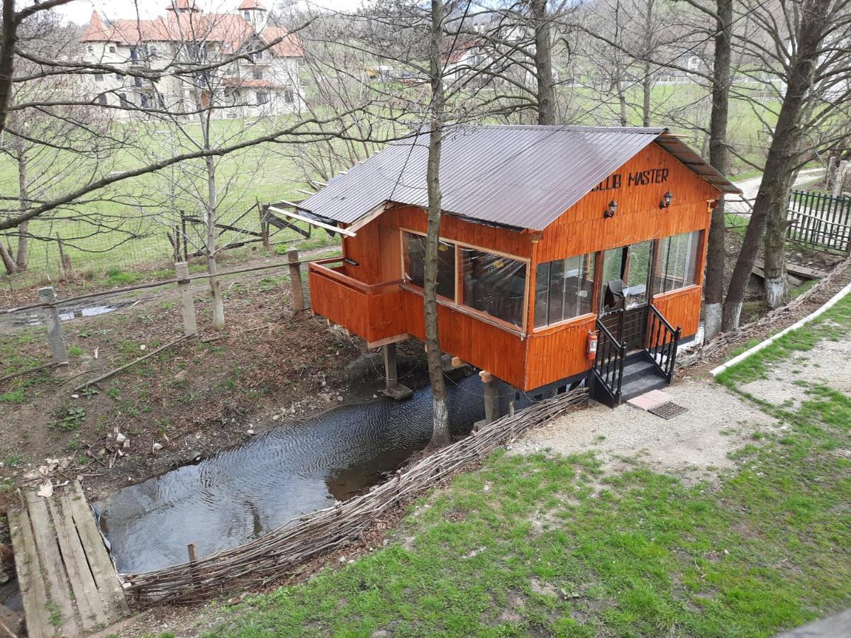 Pensiunea Mir Bran  Exterior foto